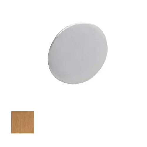 Schlage Commercial K510-330 605 L9040 and L9440 Emergency Button Bright Brass Finish
