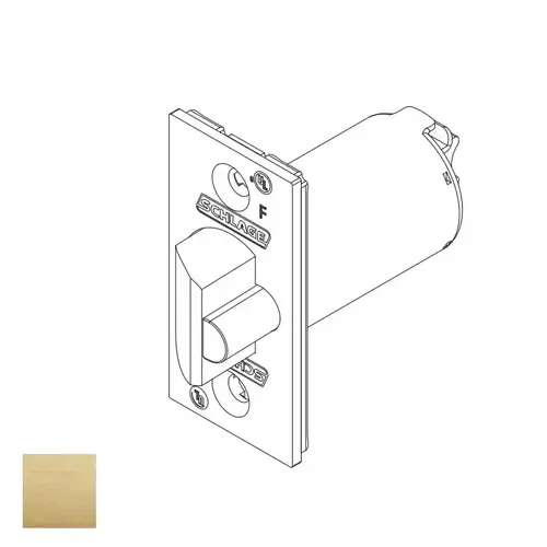 Falcon 23981145-606 Latches, Satin Brass