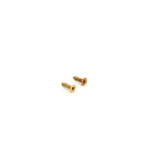 Schlage Commercial C203-736 612 ASA Strike Screw Pack Satin Bronze Finish