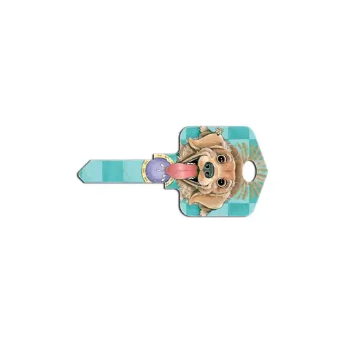 Howard Keys SC1-GP2 Key Blank