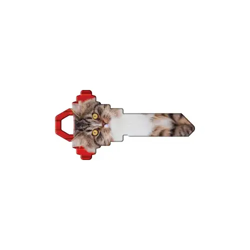 Howard Keys SC1-HK67-XCP5 Happy Keys Maine Coon - pack of 5