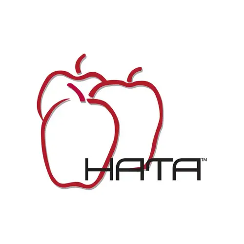 Hata Inc HATT03 TOYOTA KEY WITH 3 BUTTON SHELL