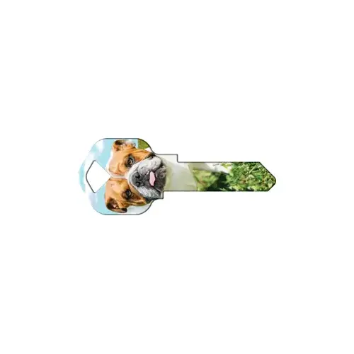Howard Keys WR-HK62-XCP50 Happy Keys Bulldog - pack of 50