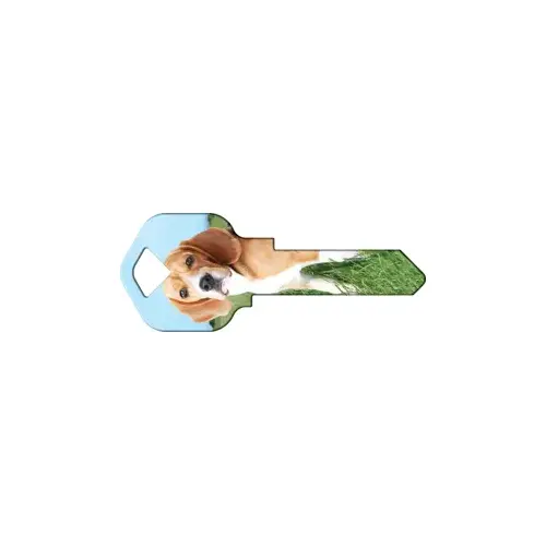 Howard Keys WR-HK63-XCP50 Happy Keys Beagle - pack of 50