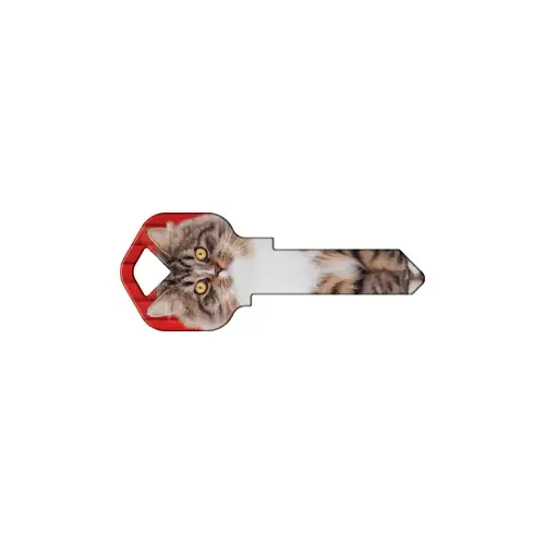 Howard Keys WR-HK67-XCP50 Happy Keys Maine Coon - pack of 50