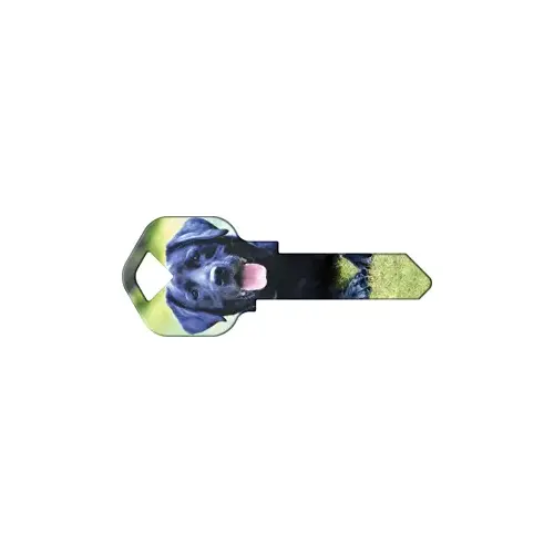 Howard Keys WR-HK59-XCP50 Happy Keys Labrador Retriever - pack of 50