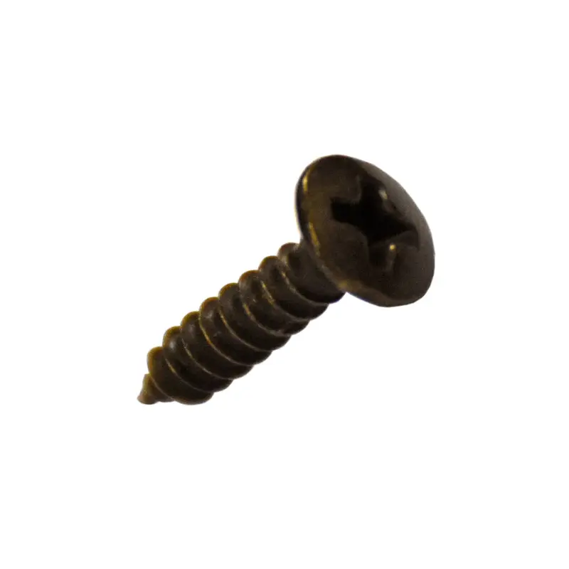 Oval Head Cabinet Hinge ScrewsBurnished Brass
