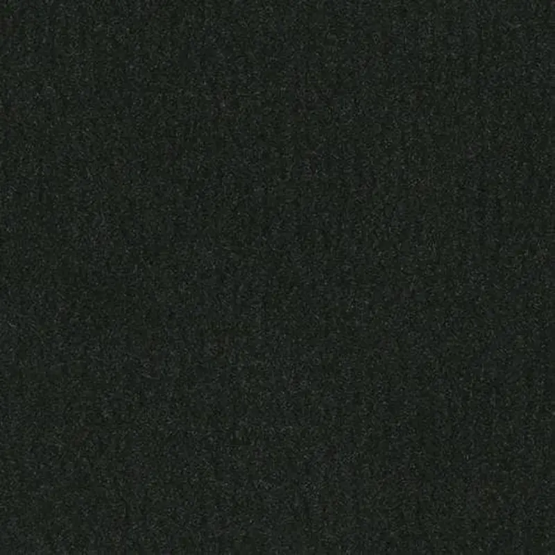 -Daytar Black Plush Carpet Sample (Interior/Exterior)