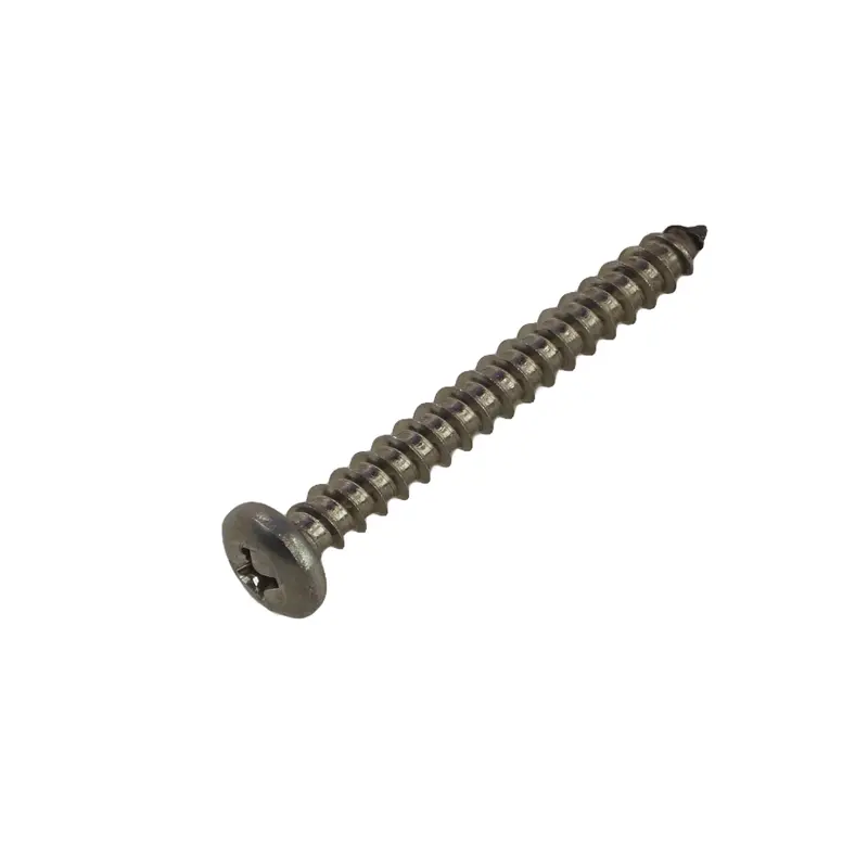 #10 1-3/4 Phillips Pan Head Self Tapping Screw, SS Screw for Turn Signal and Tail Light Lens