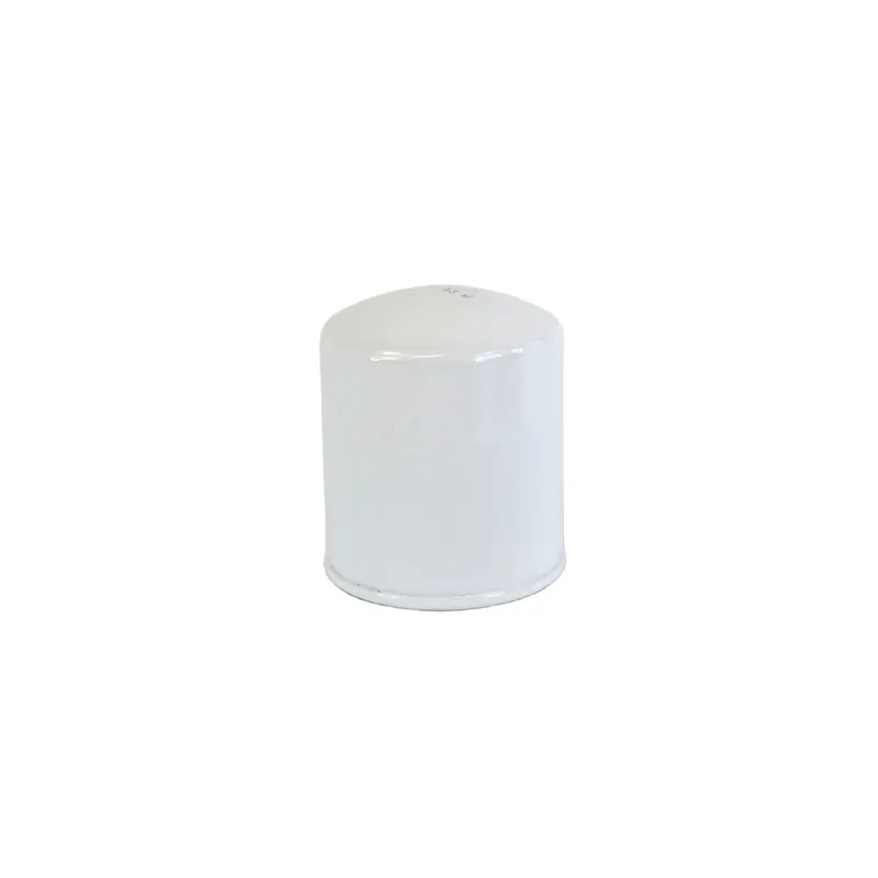 Kaeser Oil Filter Replacement - 6.1901.10010