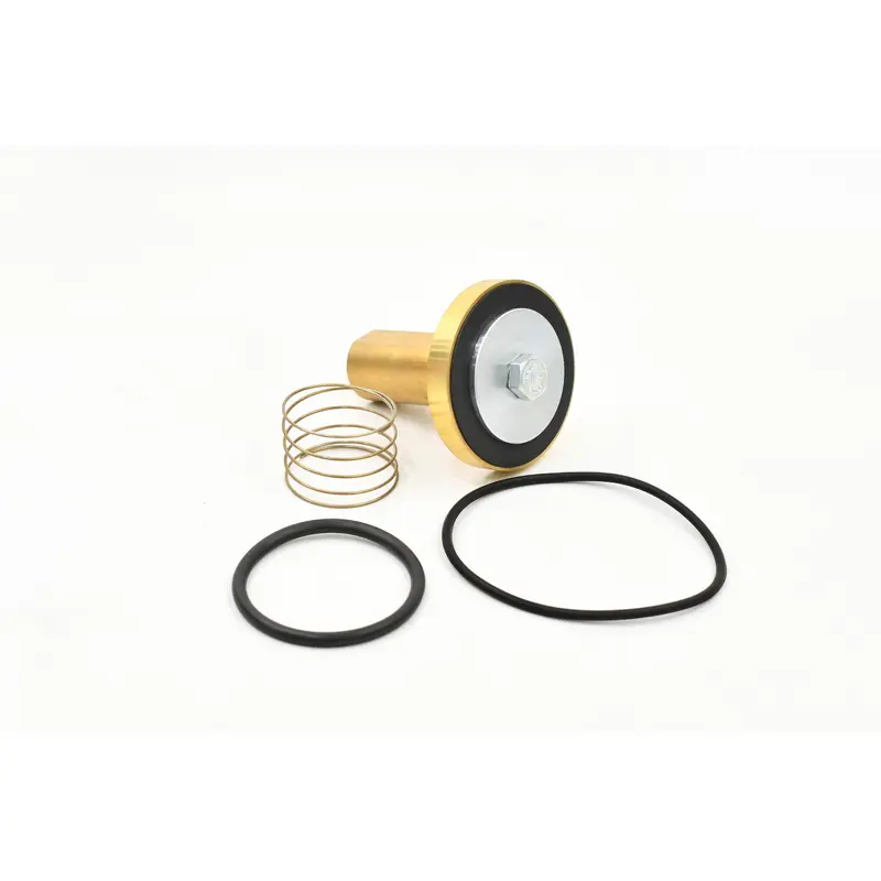 Kaeser Minimum Pressure Check Valve Kit Replacement - 400711.1