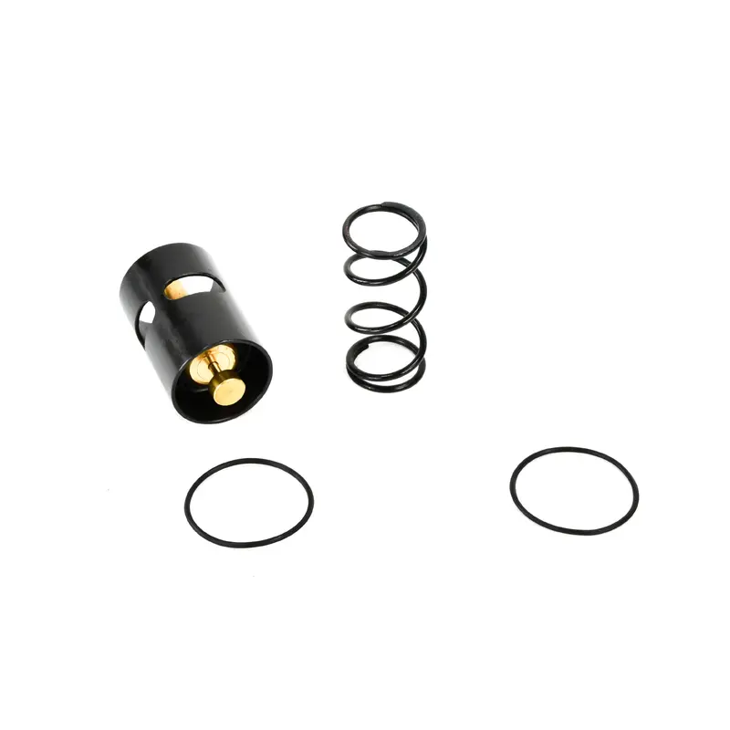 Atlas Copco Thermostatic Valve Replacement - 290116100
