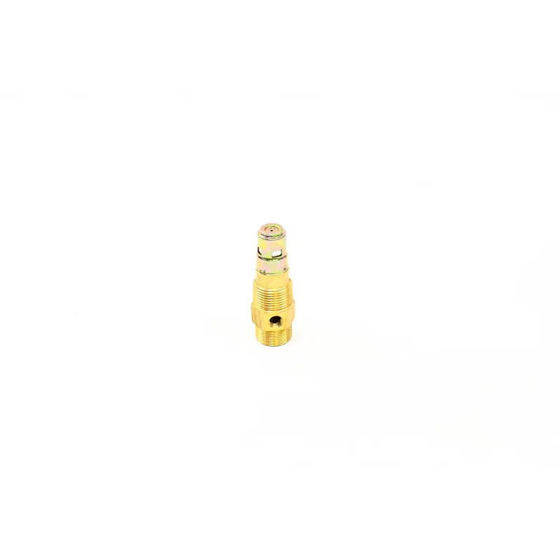 Quincy Check Valve Replacement - 111491