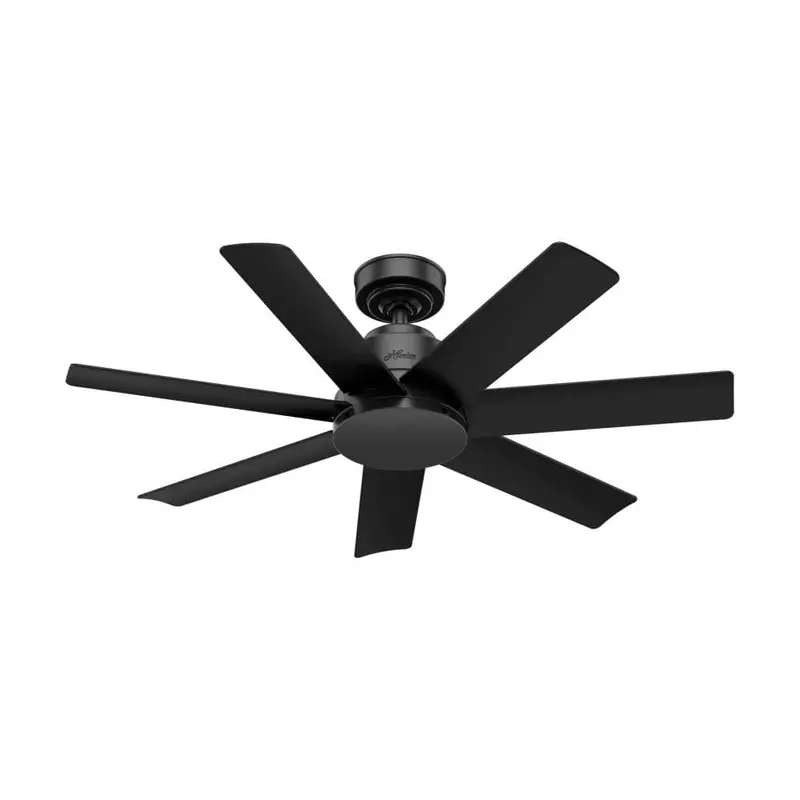 Anchorage 44 in. Indoor/Outdoor Matte Black Ceiling Fan with Wall Controleach