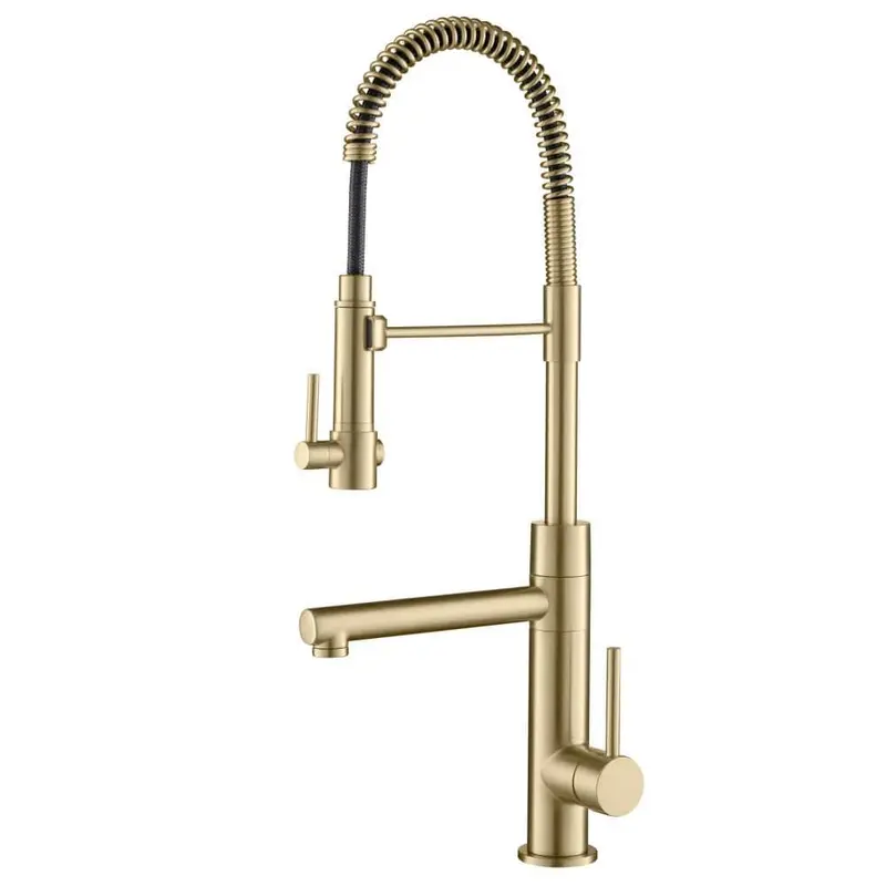 Artec Pro Single-Handle Pull-Down Sprayer Kitchen Faucet and Pot Filler in Brushed GoldBrushed Gold / 6.61 / No Sensor