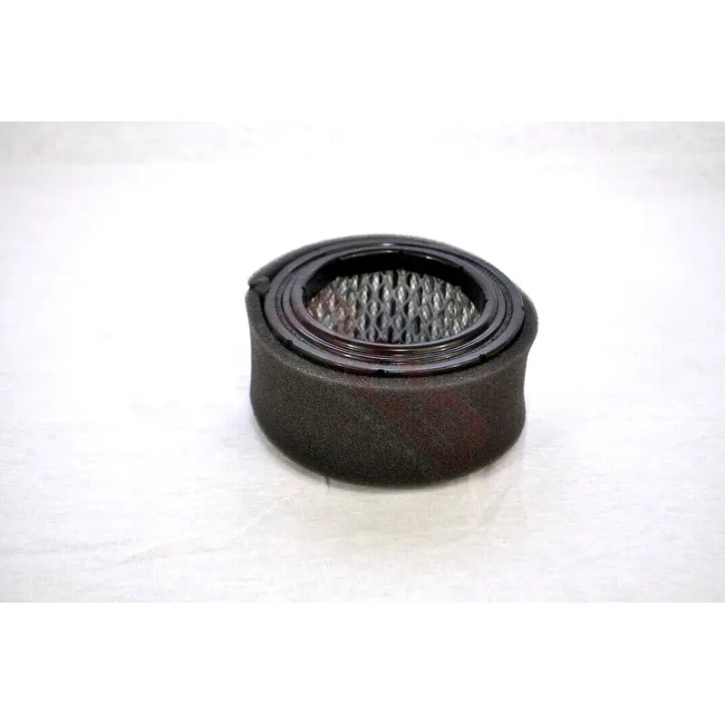 Solberg Air Filter Replacement - 15P