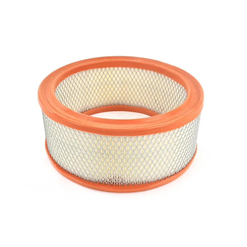Mattei Air Filter Replacement - CR21G30336