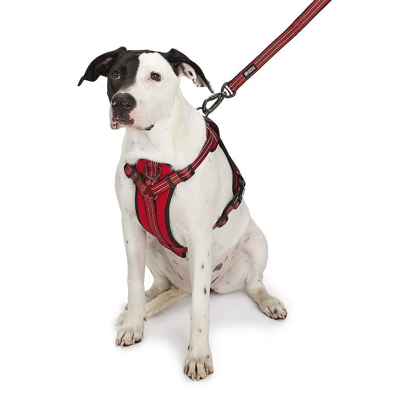 Guardian Gear ZA0031 16 83 Reflective Harness, 18 to 30 in, Fastening Method: O-Ring Strap, Nylon Harness, True Red