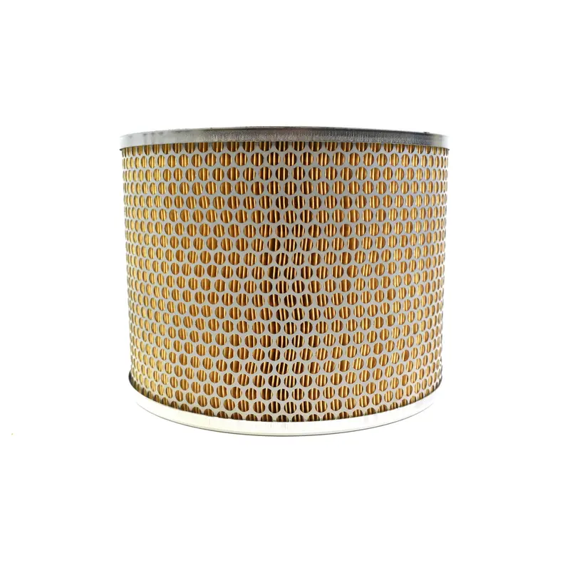 Mann Air Filter Replacement - C26240