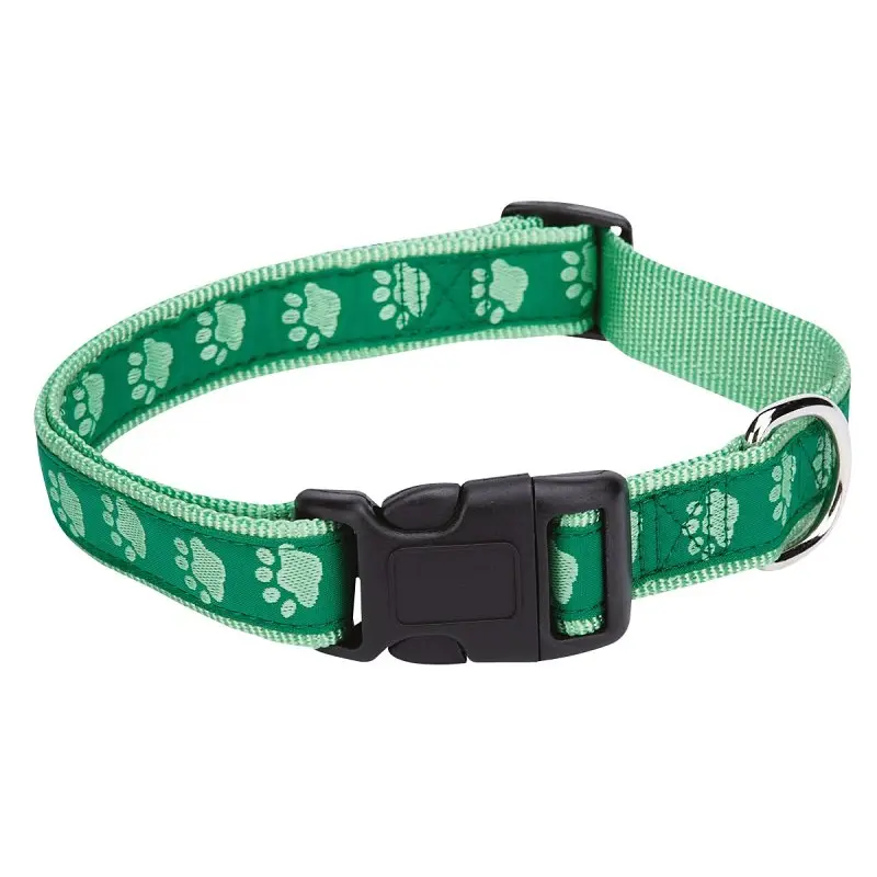 Casual Canine ZA8871 10 43 Dog Collar, 10 to 16 in L Collar, 5/8 in W Collar, Nylon, Green